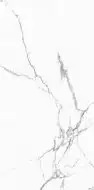 Statuario Venato Satin 60x120