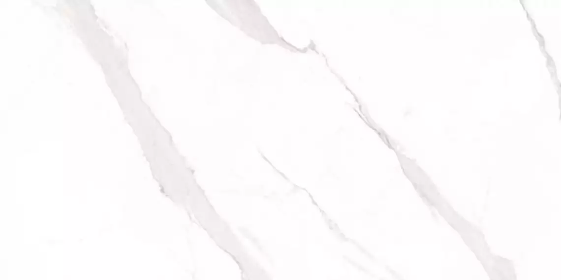 Statuary Blanco Leviglass 60x120