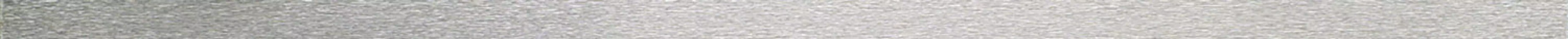 Steel 10 strip 59,8x1,5