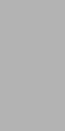 Steel Grey Polished  60х120