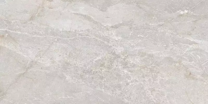 Stonico Oyster Grey Glossy 60x120