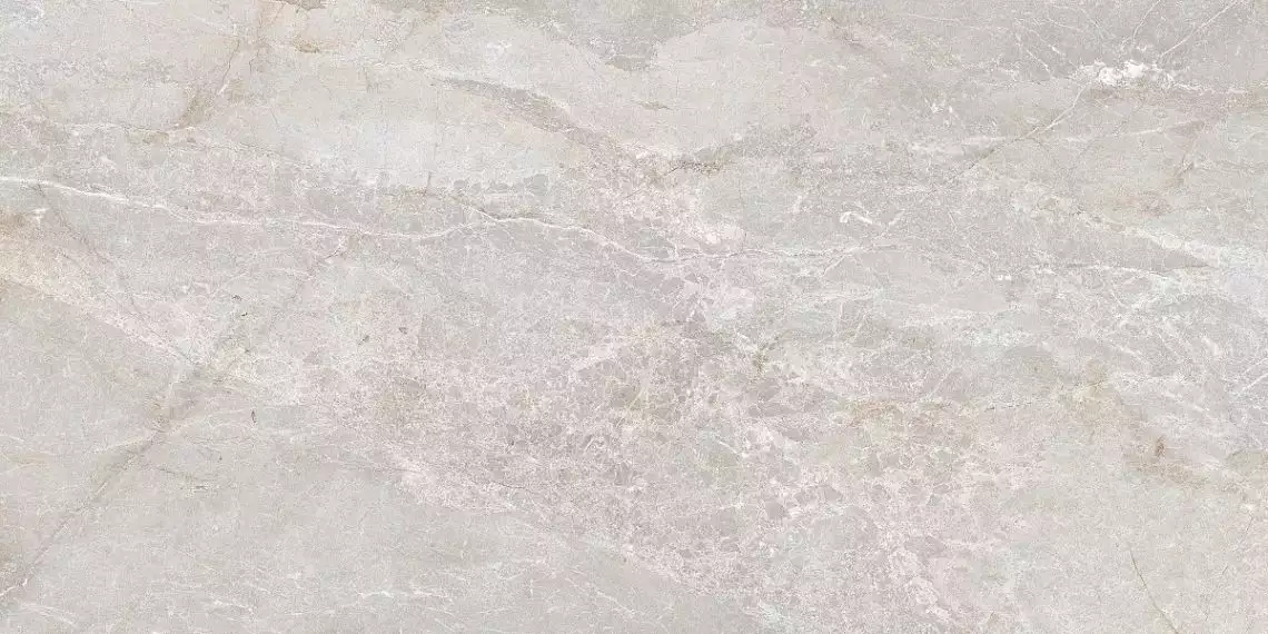 Stonico Oyster Grey Glossy 60x120