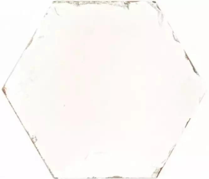 Studio Ivory 20x24
