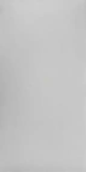 Studio Light Grey Polish 60x120