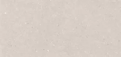 Stx Fossil Barley 59,8х119,8