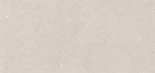 Stx Fossil Barley 59,8х119,8