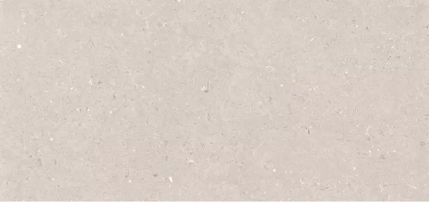 Stx Fossil Barley 59,8х119,8