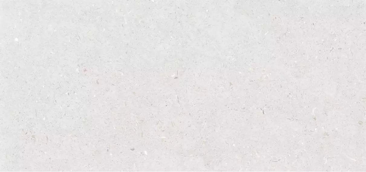 Stx Fossil Bianco 59,8х119,8