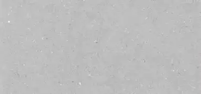 Stx Fossil Dove 59,8х119,8
