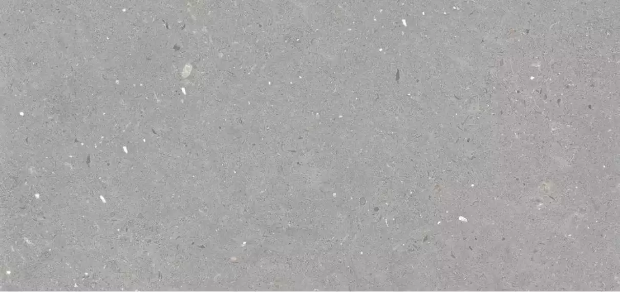 Stx Fossil Grey 59,8х119,8