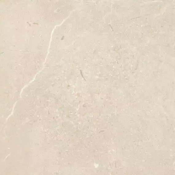 Sunnydust Light Beige 59.8x59.8