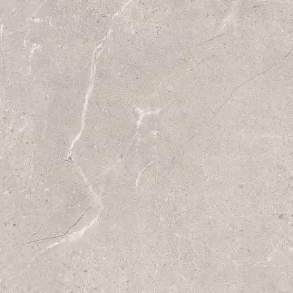 Sunnydust Light Grys 59.8x59.8