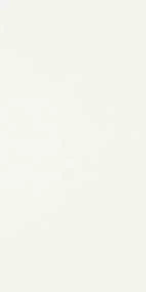 Synergy Bianco 30x60