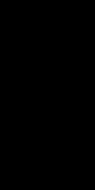 Synergy Nero 30x60