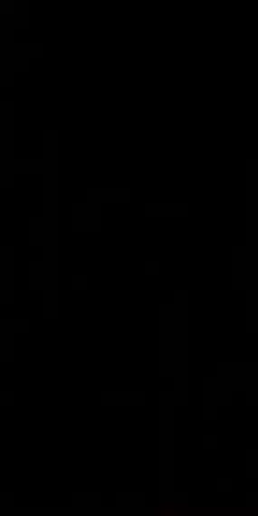 Synergy Nero 30x60