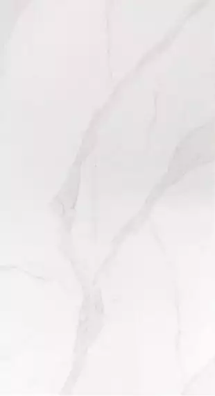 T126063 60x120