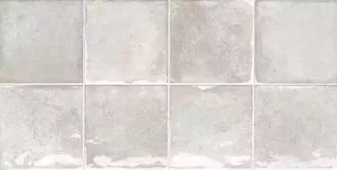 TERRA ICE 30x60