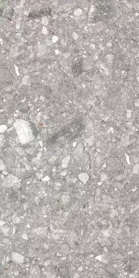 TERRA STONE Grey LAPPATO 60x120