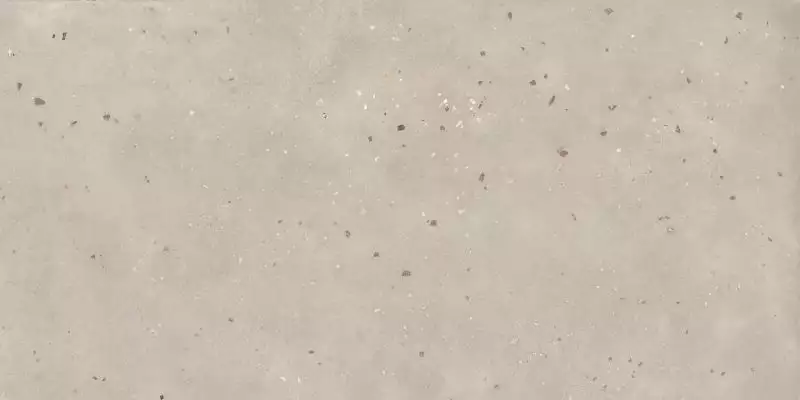 THS4802M Керамогранит Terrazzo Light Mocha Matt 60x120