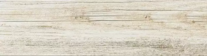 TMG 43RT Moonlight 30x120