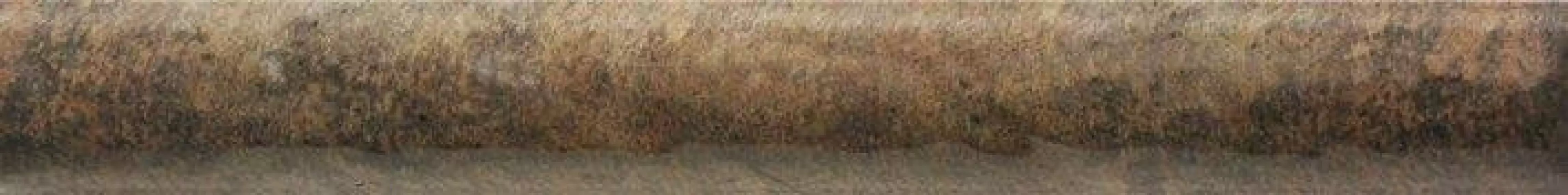 TORELO BOLONIA COTTO 3*20