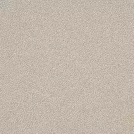 TR335061 Taurus Granit 30x30