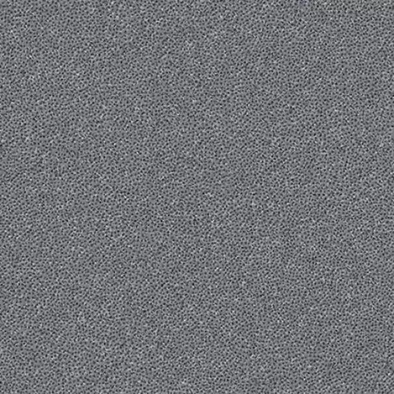 TR335065 Taurus Granit 30x30