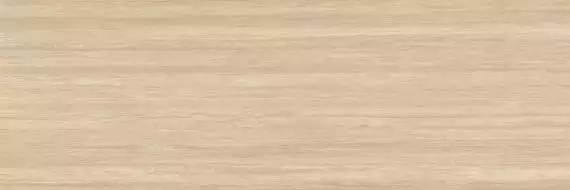 TRAVERTINO SL.HD.TRBG.RN 300x100