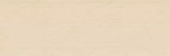 TRAVERTINO SL.IN.TA.NT 300x100