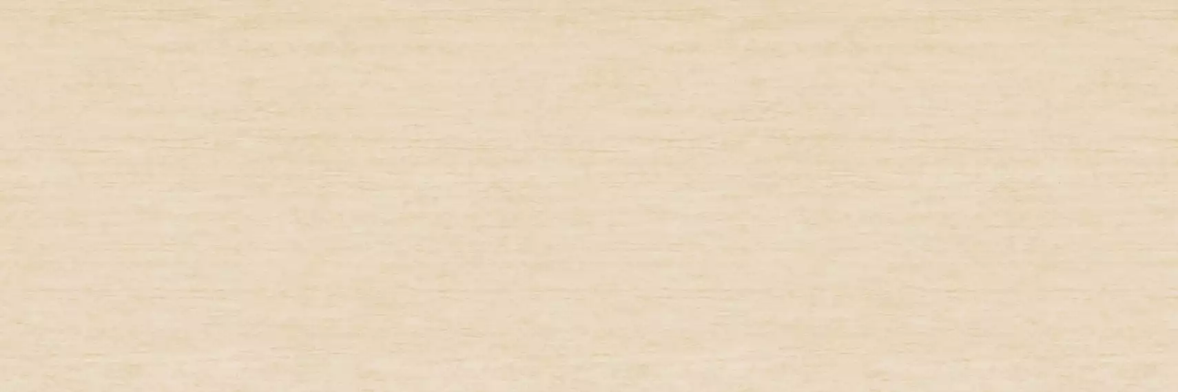 TRAVERTINO SL.IN.TA.NT 300x100