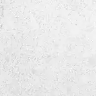 TREND Nacar RC 60x60