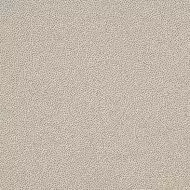 TRM26061 Taurus Granit 20x20