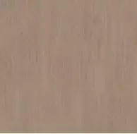 TT01 Tottori неполированный 60x60