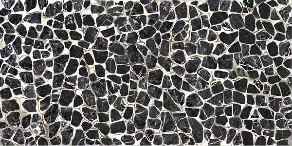 TURTLE6 12LP 60x120