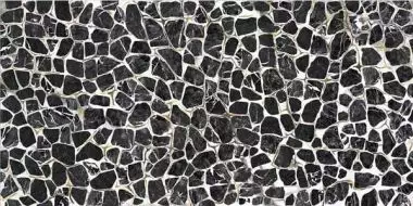 TURTLE6 260LP 120x260