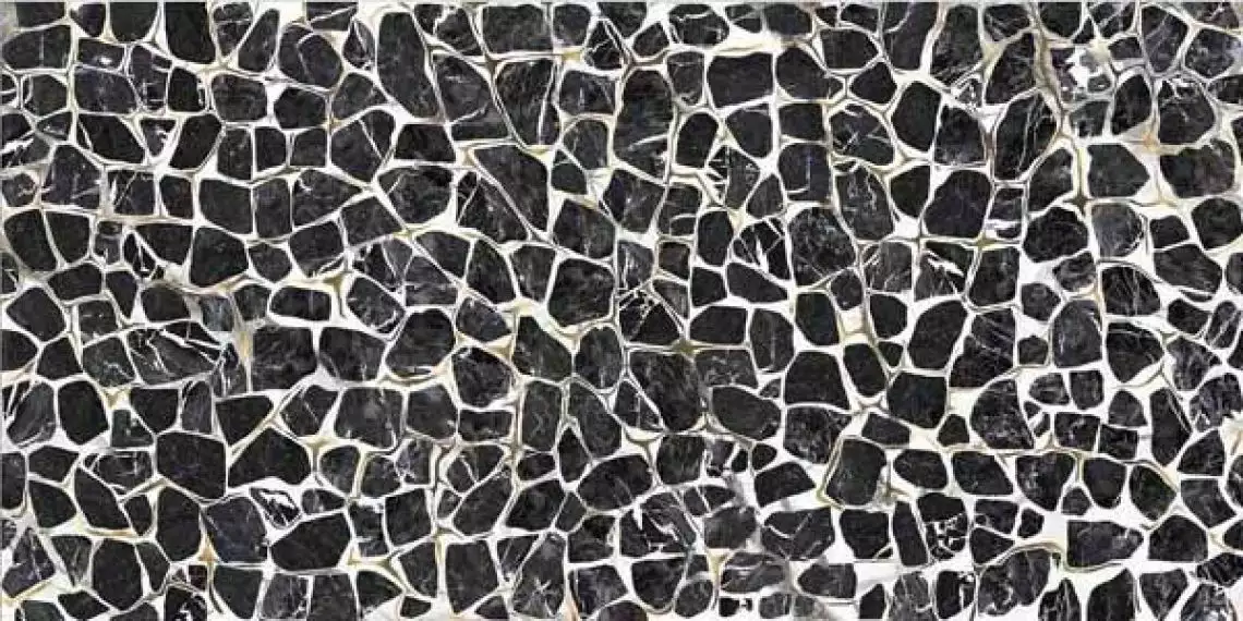 TURTLE6 260LP 120x260