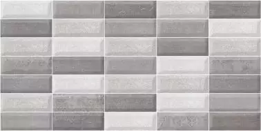 TWU09BIR007 Birma рельефная 249*500*8.5