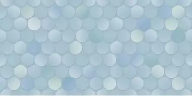 TWU09BOL606 рельефная Bolle 249*500*85