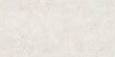 TZ612NTT9501L Terrazzo 60x120
