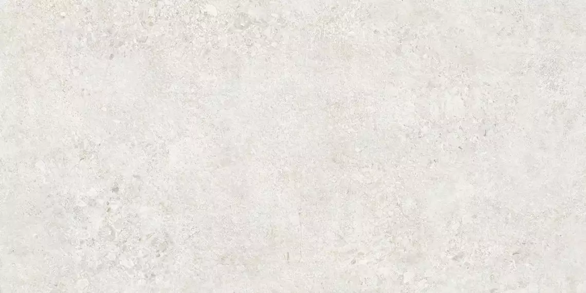 TZ612NTT9501L Terrazzo 60x120