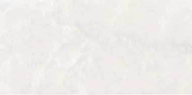 Taj Bianco Polished 60x120