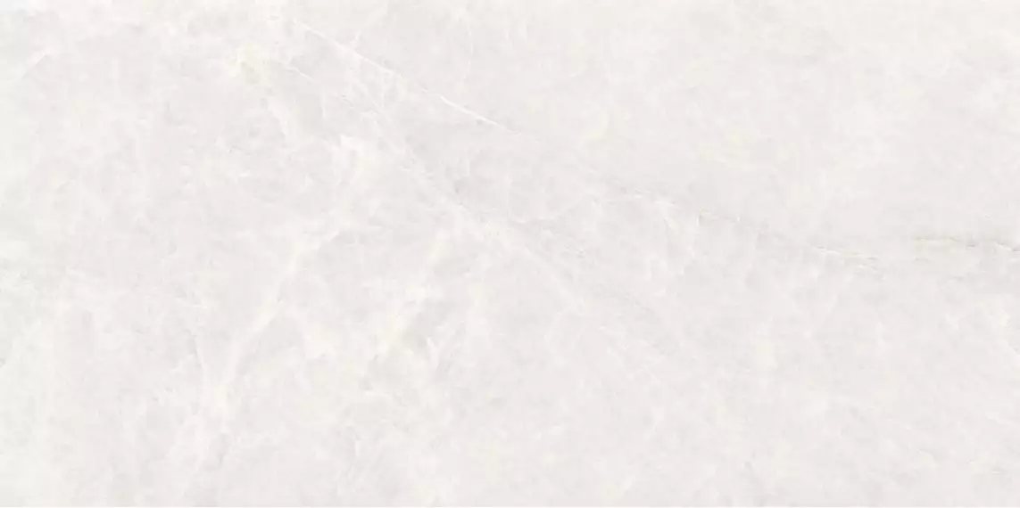 Taj Bianco Polished 60x120