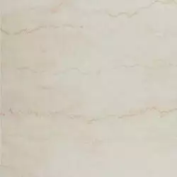 Talia Marfil 60x60