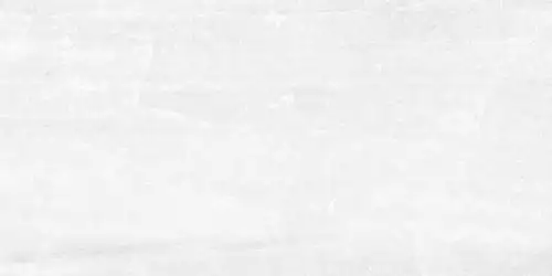 Tampa White Rett 30x60
