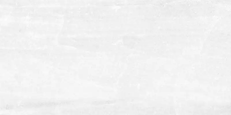 Tampa White Rett 30x60