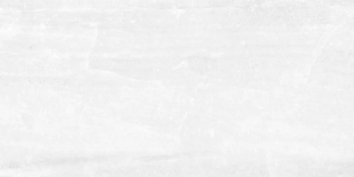 Tampa White Rett 30x60