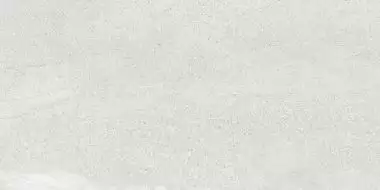 Tardivo Bianco M 60x120