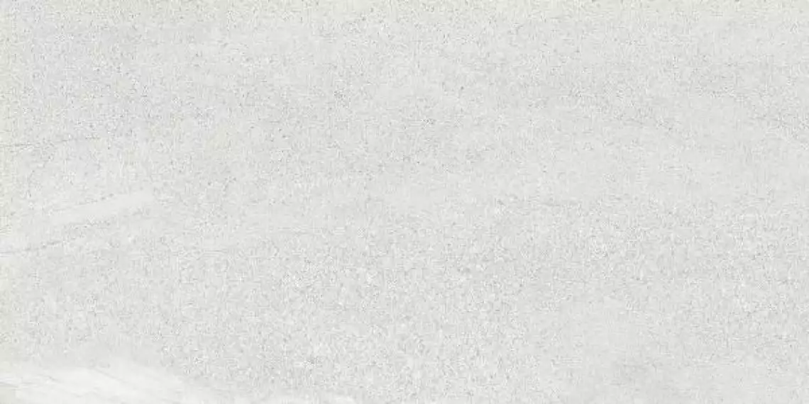 Tardivo Bianco M 60x120