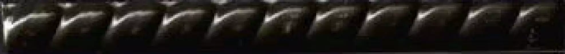 Tarpan Negro Mate g.21 2x20