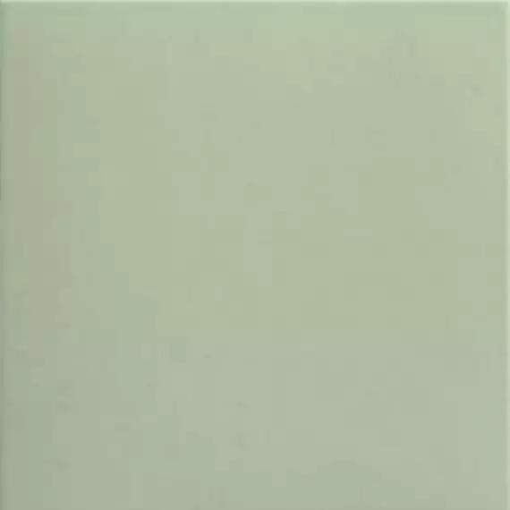 Technical Basil 20x20